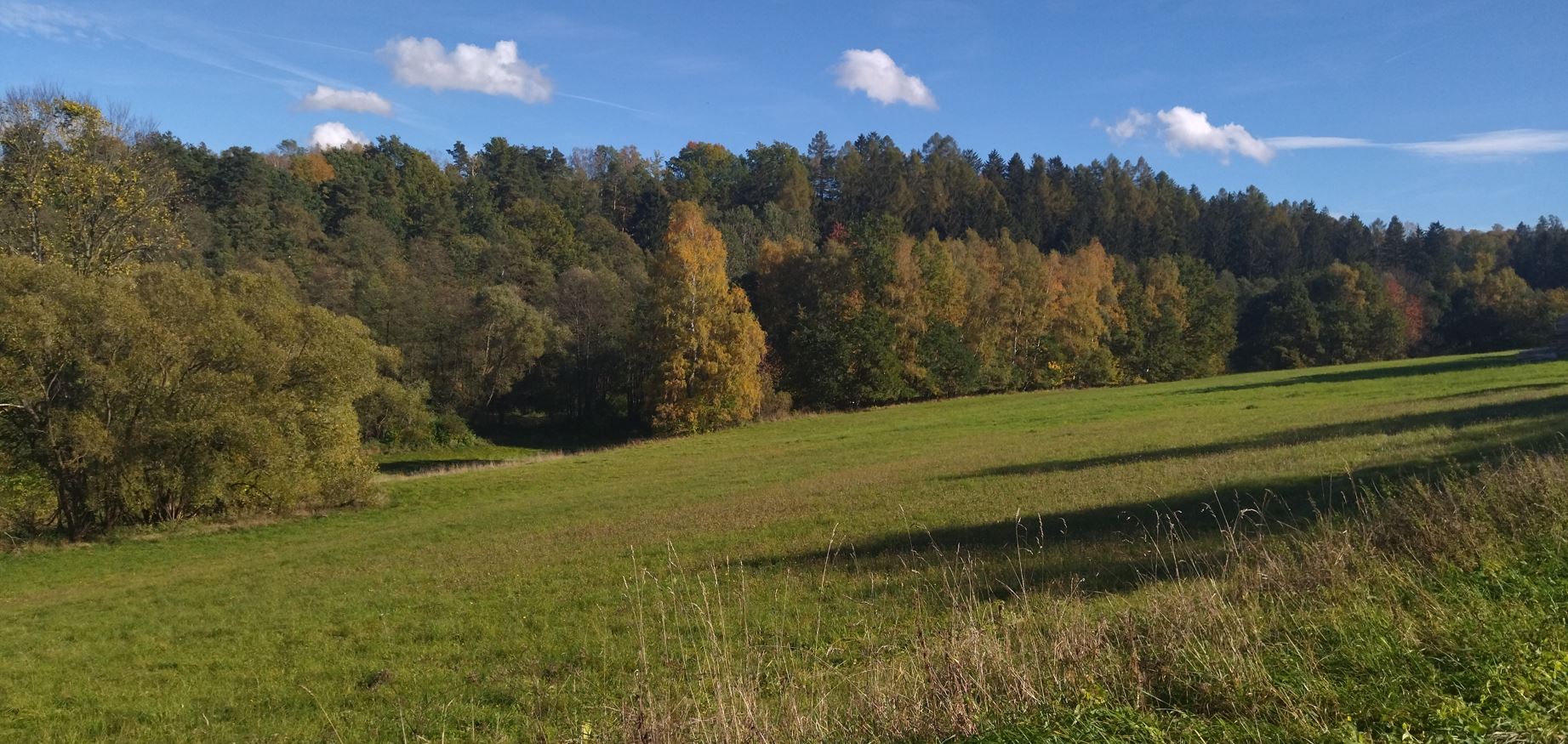 louka nad Novodvorským potokem na západní straně Dolu